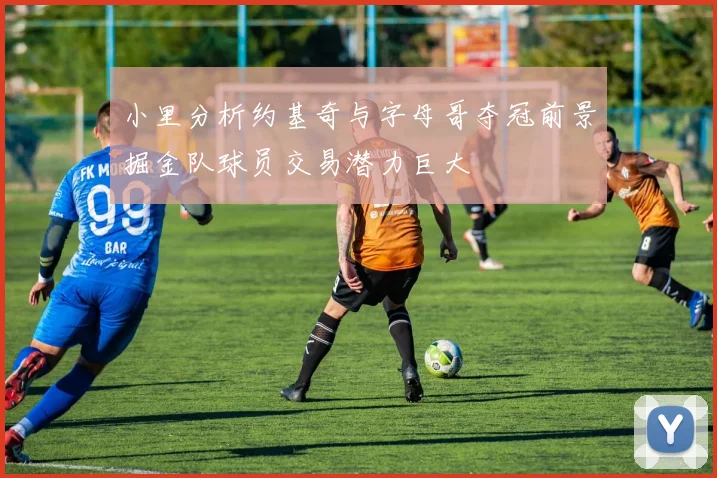 小里分析约基奇与字母哥夺冠前景掘金队球员交易潜力巨大