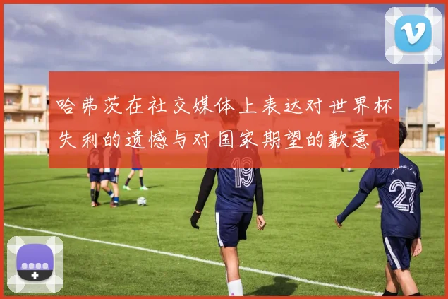 哈弗茨在社交媒体上表达对世界杯失利的遗憾与对国家期望的歉意